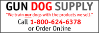 GDS-Web-Banner